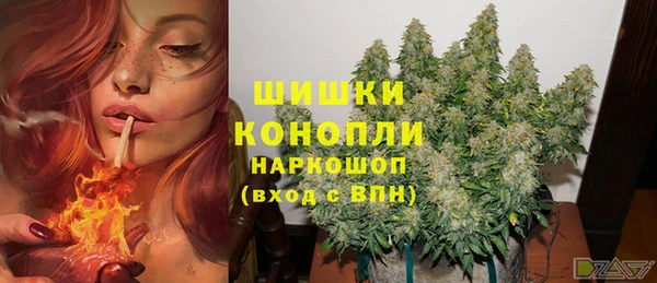 сатива Алексин