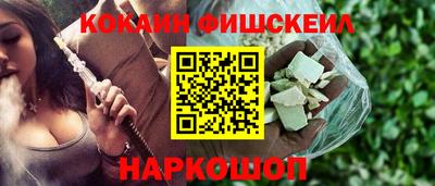 индика Кингисепп