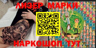 индика Кингисепп