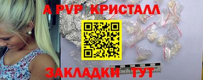 индика Кингисепп