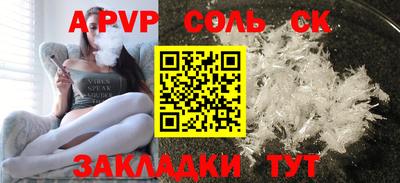 индика Кингисепп
