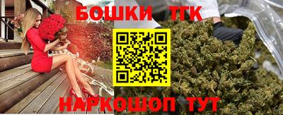 индика Кингисепп