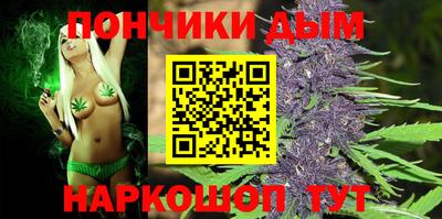 индика Кингисепп