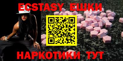 индика Кингисепп