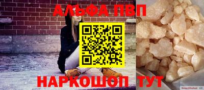 индика Кингисепп