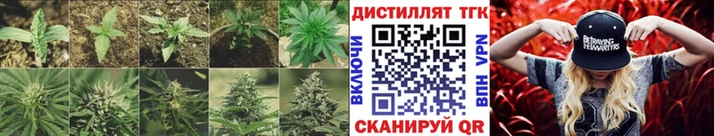 ТГК концентрат  закладка  Кинель 