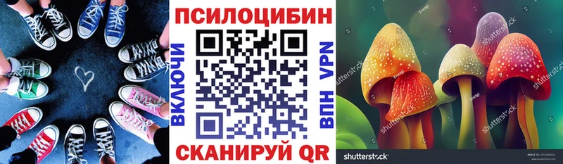 закладка  Кинель  Псилоцибиновые грибы Magic Shrooms 