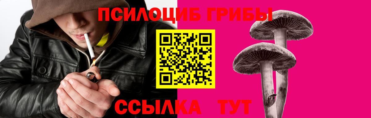 Псилоцибиновые грибы MAGIC MUSHROOMS  Вход с VPN  где найти наркотики  Кинель 