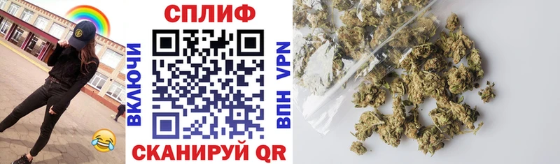 hydra маркетплейс  Кинель  маркетплейс наркотические препараты  Канабис конопля 